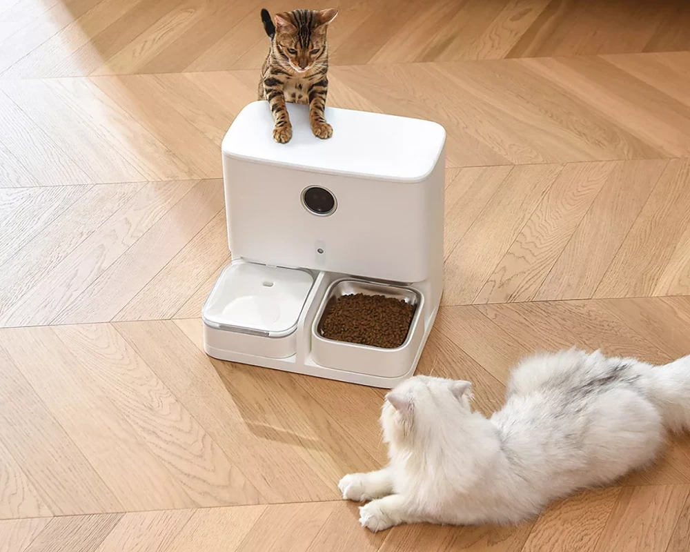 automatic dry food pet feeder